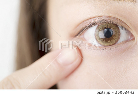 眼 36063442