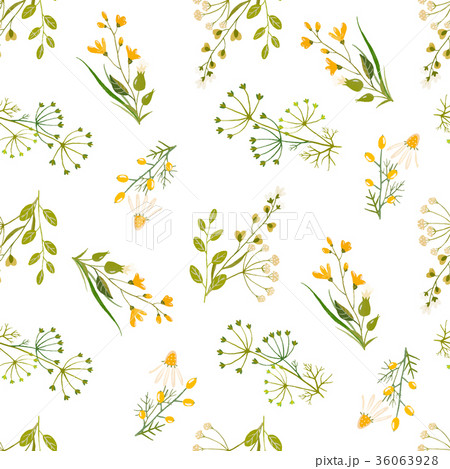 Watercolor floral vector pattern 36063928