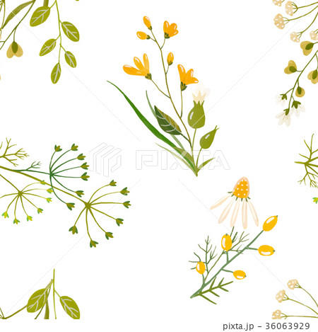 Watercolor floral vector pattern 36063929