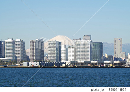 横浜みなと未来地区と富士 横浜みなと未来地区と富士 36064695