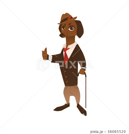 vector dog character in formal clothing 36065520