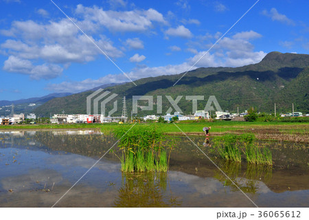 台湾 イメージ 心象 36065612