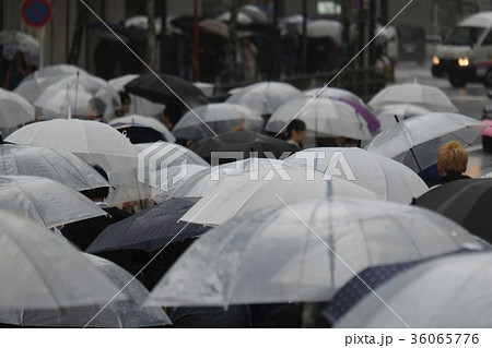雨の日 雨の日 36065776
