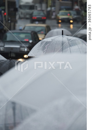 雨の日 雨の日 36065783