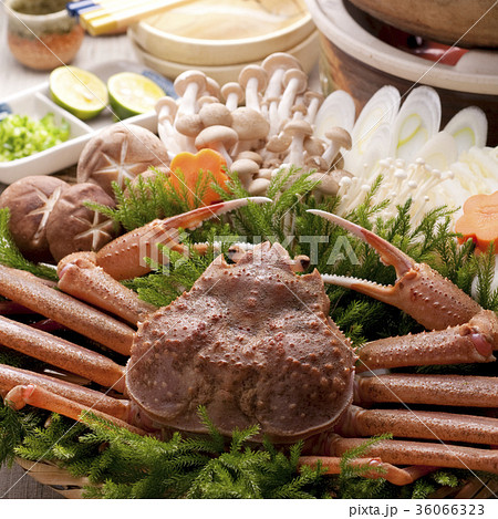 カニ鍋の具材 36066323