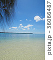 南の島の海・パラオ・カープアイランドリゾート 36066487