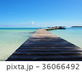 海の桟橋 36066492