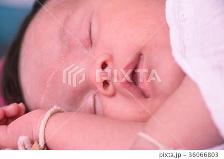 Newborn baby boy Newborn baby boy 36066803