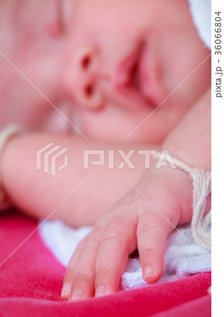 Newborn baby boy Newborn baby boy 36066804