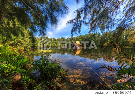 Lake in Wat Mai Khao temple. Phuket Thailand Lake in Wat Mai Khao temple. Phuket Thailand 36066974