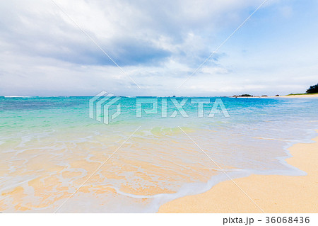 土盛海岸　奄美大島 36068436
