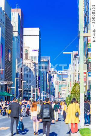 東京 銀座 中央通りの風景(銀座五丁目交差点付近) 東京 銀座 中央通りの風景(銀座五丁目交差点付近) 36068551