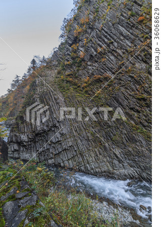 秋の清津川の風景 秋の清津川の風景 36068629