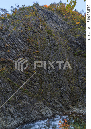 秋の清津川の風景 36068630