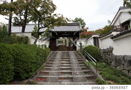 建仁寺 西来院 建仁寺 西来院 36068987