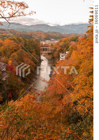 天竜峡の紅葉 天竜峡の紅葉 36069011