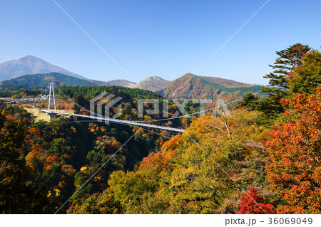 秋 紅葉と九重夢大吊橋 北方展望台からの景色 秋 紅葉と九重夢大吊橋 北方展望台からの景色 36069049