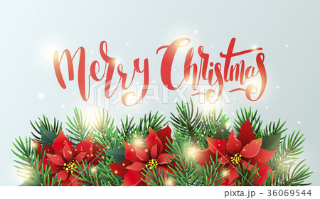 Banner with poinsettia flowers and fir branches Banner with poinsettia flowers and fir branches 36069544
