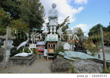 箱崎八幡神社の鶴神様（ツルカンサァ） 36069545