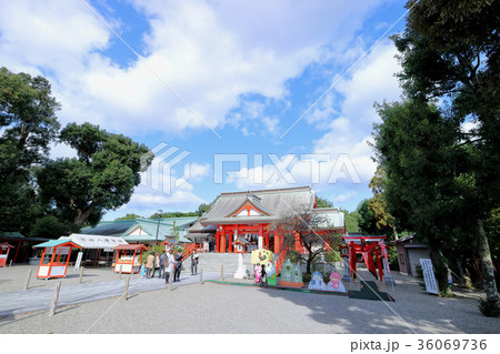 箱崎八幡神社 箱崎八幡神社 36069736
