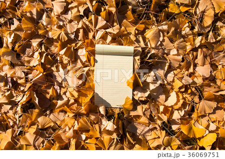 Note pad on the Fallen autumn leaves background 36069751