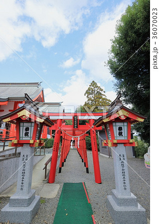 箱崎稲荷神社 箱崎稲荷神社 36070023