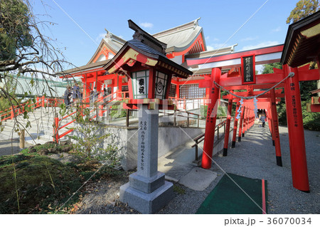 箱崎稲荷神社 箱崎稲荷神社 36070034