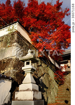 紅葉の山寺 紅葉の山寺 36071168