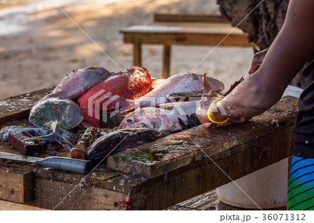 Fisher's hands cleaning fish outdoor Fisher's hands cleaning fish outdoor 36071312