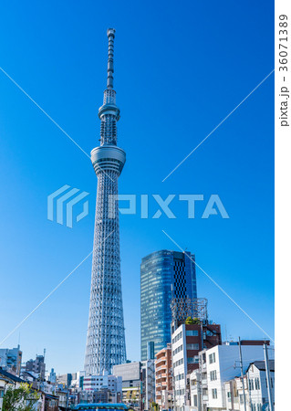 《東京都》スカイツリー・都市風景 《東京都》スカイツリー・都市風景 36071389