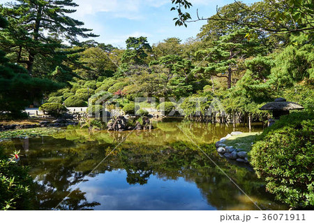 秋の千秋公園 36071911