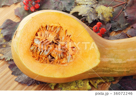 Pumpkin, red berries on color autumn foliage. Pumpkin, red berries on color autumn foliage. 36072246