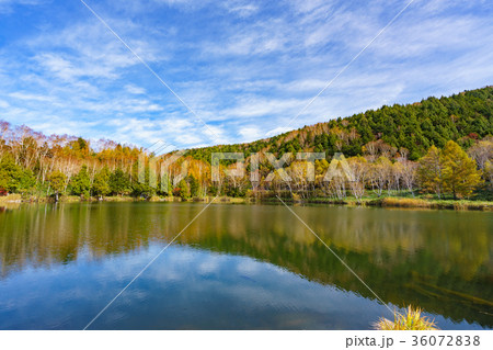 【長野県】紅葉　志賀高原　木戸池 36072838