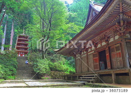 室生寺 五重塔と本堂 室生寺 五重塔と本堂 36073189