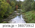 A small narrow river with overgrown 36073912