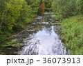 A small narrow river with overgrown runners 36073913