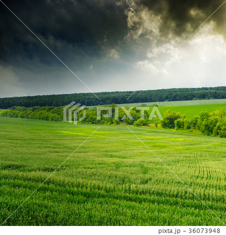 Majestic sunrise over wheat field. Majestic sunrise over wheat field. 36073948