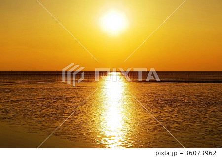 福岡県柳川市の秋 11月 有明海の夕陽 干潮時の干潟とその生息生物 海苔養殖の風景の写真素材