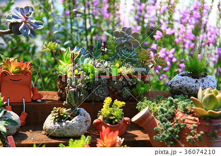 植物 工場 プランツ 36074210