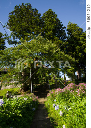瀧水寺大日坊 参道 瀧水寺大日坊 参道 36074219
