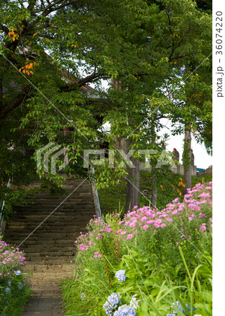瀧水寺大日坊 参道 瀧水寺大日坊 参道 36074220