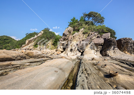 竜串海岸 竜串海岸 36074498