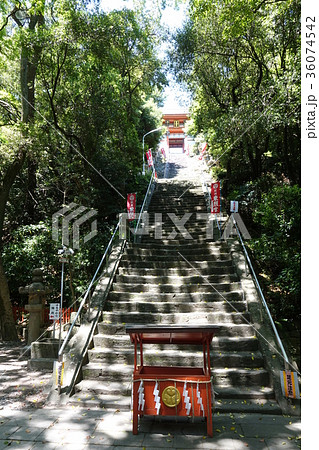 紀州東照宮 参道 36074542