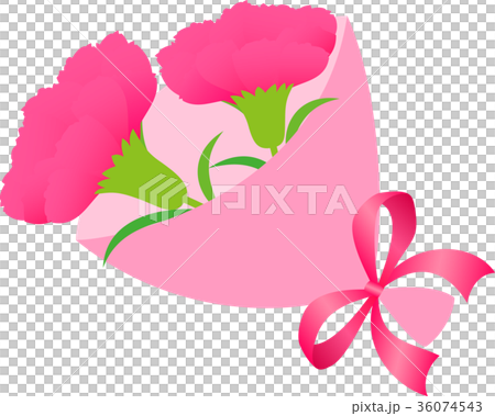 母の日 カーネーション花束 母の日 カーネーション花束 36074543