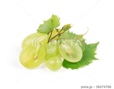 Green grape with leaves isolated on white. Green grape with leaves isolated on white. 36074766