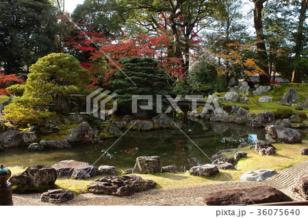 京都 三宝院 庭園 京都 三宝院 庭園 36075640