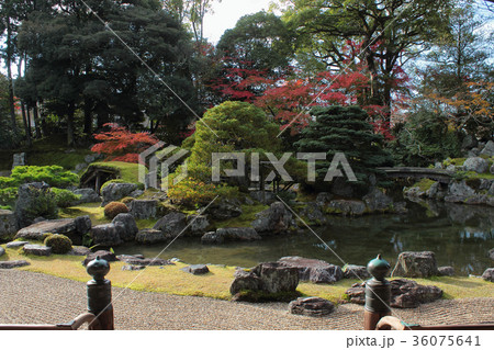 京都　三宝院　庭園 36075641