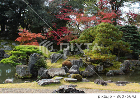 京都　三宝院　庭園 36075642