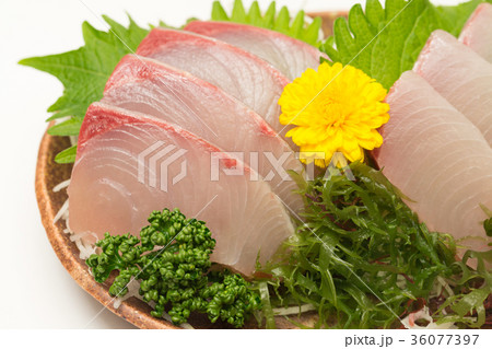 ハマチ刺身 ハマチ刺身 36077397