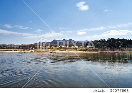 洛東江 河回村 慶北 36077668